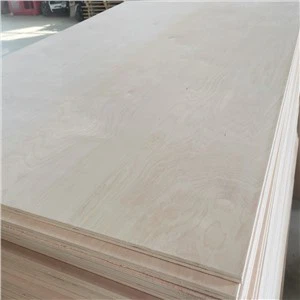 Edullinen Poppeli Eucalyptus Core Koivupuuviiluvaneri